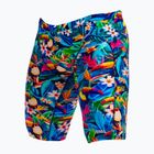 Men's swim jammers Funky Trunks Training Jammers birdie wordie