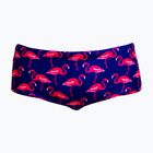Men's swim boxers Funky Trunks Sidewinder Trunks flocked up