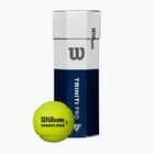 Tennis balls Wilson Triniti Pro 3 pcs. yellow