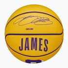 Wilson NBA Player Icon Mini Lebron basketball WZ4007201XB3 size 3