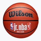 Wilson NBA JR Fam Logo basketball Indoor outdoor brown size 6