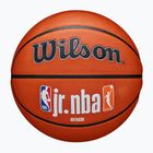 Wilson NBA JR Fam Logo Authentic Outdoor brown basketball size 6