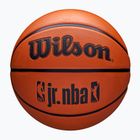 Wilson NBA basketball JR Drv Fam Logo brown size 6