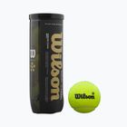 Padel balls Wilson Premier Padel Speed 3B 3 pcs. yellow