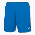 Men's training shorts Joma Treviso Royal blue 100822.700