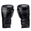 Everlast Power Lock 2 Premium boxing gloves black EV2272