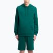 Men's hoodie Reebok Identity Small Logo Hoodie collegiate green
