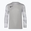 Nike Dri-FIT Park IV Children's Goalkeeper T-shirt pewter grey/white/black