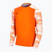 Nike Dry-Fit Park IV children's football sweatshirt orange CJ6072-819