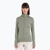 Icebreaker women's trekking jacket Merino 260 Quantum IV lichen