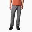 Men's trekking trousers Columbia Silver Ridge Utility city grey