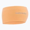 Icebreaker Merino 200 Oasis Headband feldspar