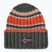 Men's winter beanie Napapijri F-Areuse green urban