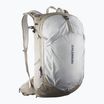 Salomon Trailblazer 30 l khaki/glacier gray hiking backpack