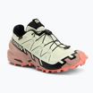 Women's running shoes Salomon Speedcross 6 GTX lime cream/mahogany rose/black
