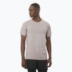 Men's running T-shirt  Salomon Sense Aero Tee GFX etherea/white