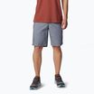Men's trekking shorts Columbia Washed Out grey ash