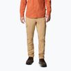 Men's trekking trousers Columbia Skien Valley Cargo canoe