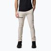 Men's trekking trousers Columbia Titan Pass Pant II dark stone