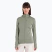 Icebreaker women's trekking jacket Merino 260 Quantum IV Zip Hoodie lichen