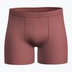 Men's thermal boxer shorts icebreaker Anatomica plume