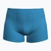 Men's thermal boxer shorts icebreaker Merino 125 Cool-Lite Anatomica arctic