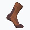 Icebreaker men's trekking socks Merino Hike+ Light Crew dusty clay/carob