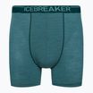 Icebreaker Anatomica Greenglory men's thermal boxer shorts 103029