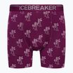 Men's thermal boxer shorts icebreaker Anatomica Go Berry 103029