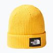 The North Face Salty summit gold cap