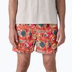 Patagonia men's shorts Baggies 5" wrasse/pollinator orange