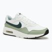 Men's Nike Air Max SC summit white/jade horizon/vintage green shoes