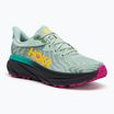 Women's running shoes HOKA Challenger ATR 7 aloe vera/black