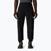 Men's trekking trousers The North Face Alpine Ridge Regular Tapered black/npf