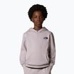 Children's sweatshirt The North Face Teen Simple Dome Hoodie moonstone grey