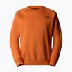 Men's sweatshirt The North Face Raglan Box Nse Crew iron bronze/tnf black
