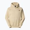Men's sweatshirt The North Face Raglan Box Nse Hoodie gravel/smokey brown