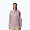 The North Face women's Drew Peak Light Hoodie metal pink/white dune sweatshirt