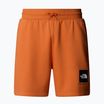 Men's trekking shorts The North Face Box Nse Regular iron bronze/tnf bronze