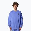 The North Face Mountain Cleanup sweatshirt over virtual blue