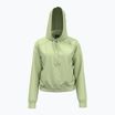 Women's Under Armour Pro Fleece Hoodie retro green/white