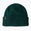 Patagonia Brodeo Beanie winter beanie cascade green