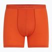 Men's thermal boxer shorts icebreaker Anatomica fervid