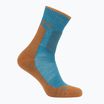Icebreaker men's socks Merino Hike+ Medium Crew topaz/trail