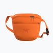 Arc'teryx Mantis 2 2.5 l verve sachet