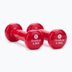 Set of dumbbells 0.5 kg 2 pcs. Sveltus Epoxy red 1180