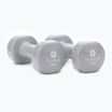 Set of dumbbells 3 kg 2 pcs. Sveltus Epoxy Dumbbells 1183