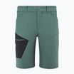 Men's shorts Millet Wanaka Stretch III bottle