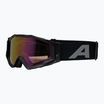 Alpina sunglasses