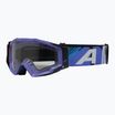 Alpina sunglasses